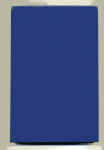 FEST-2-6-goodman.jpg (254558 bytes)
