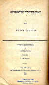 RAB-35-2.jpg (112172 bytes)
